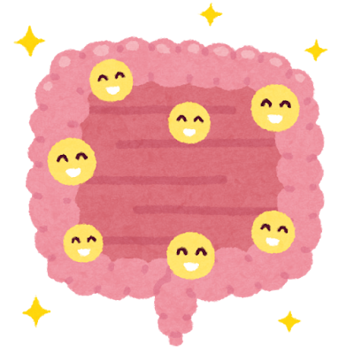 冷え性改善は「腸活」から！